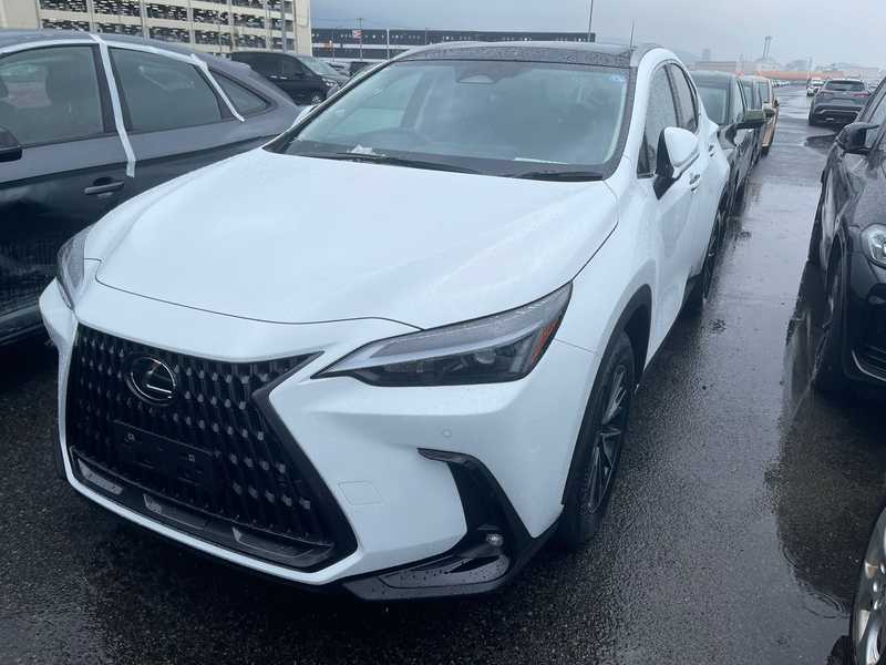 2026 Lexus NX 2,5L 2026 Cyprus