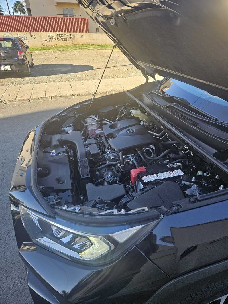 2020 Toyota RAV4 2,0L 2020 Cyprus