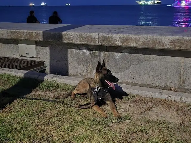 Malinois, Επαρχία Λεμεσού — Άγιος Ιωάννης Λεμεσού