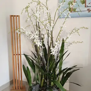 Artificial Dancing Orchid, Επαρχία Λεμεσού — Λεμεσός - Άγιος Ιωάννης