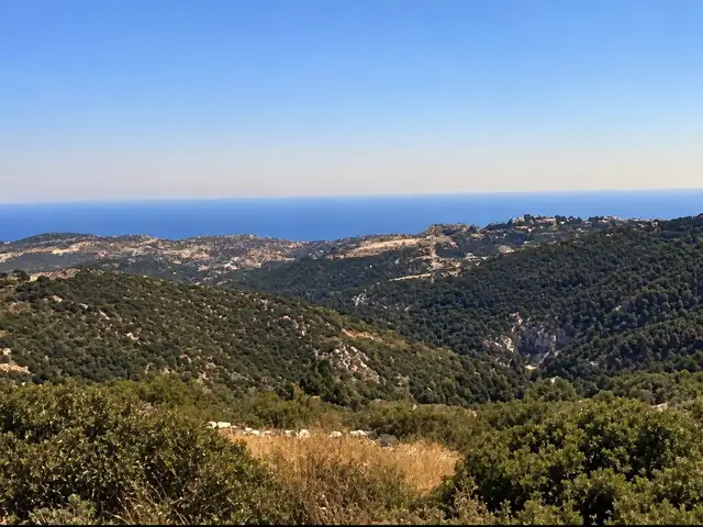 Agricultural Field 3242 m², Επαρχία Λεμεσού — Άγιος Τύχων