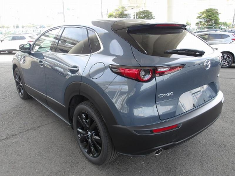 2025 Mazda CX-30 2,0L 2025 Cyprus