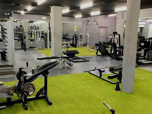 Gym painting and wall protection finishes in cyprus, Nicosia — Kalo Chorio Oreinis