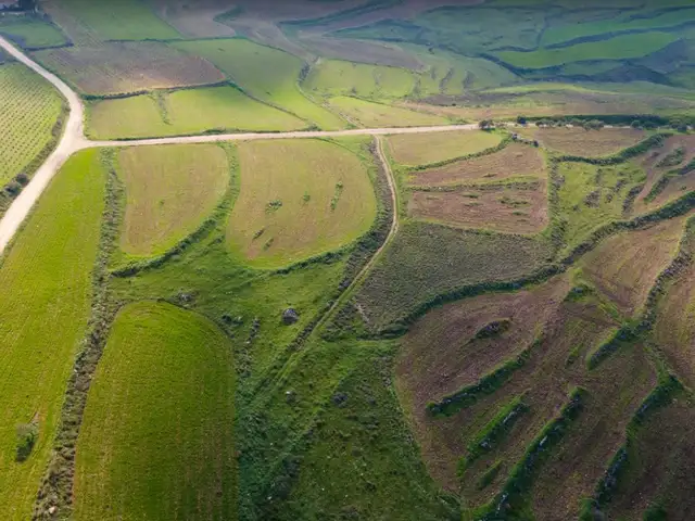 Tourist Field 9847 m², Επαρχία Πάφου — Αρόδες Κάτω