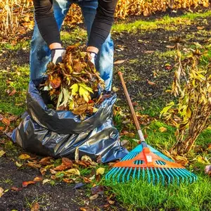 Nicosia garden cleaning, Nicosia — Aglantzia