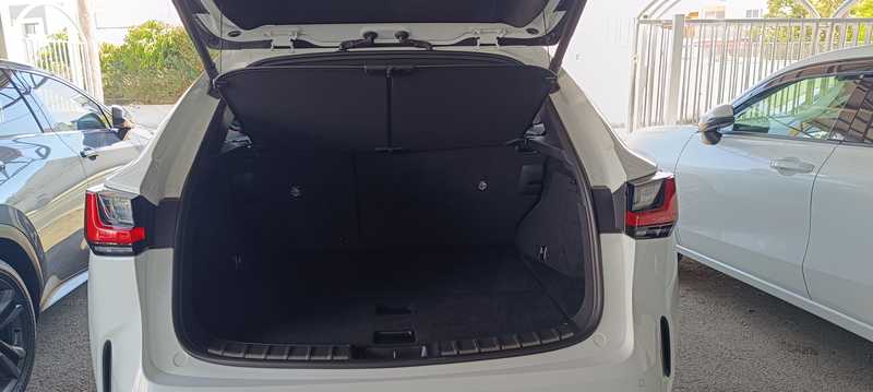 2024 Lexus NX 1,8L 2024 Cyprus