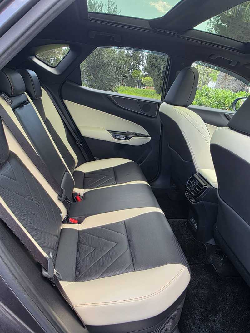 2023 Lexus NX 2,5L 2023 Cyprus