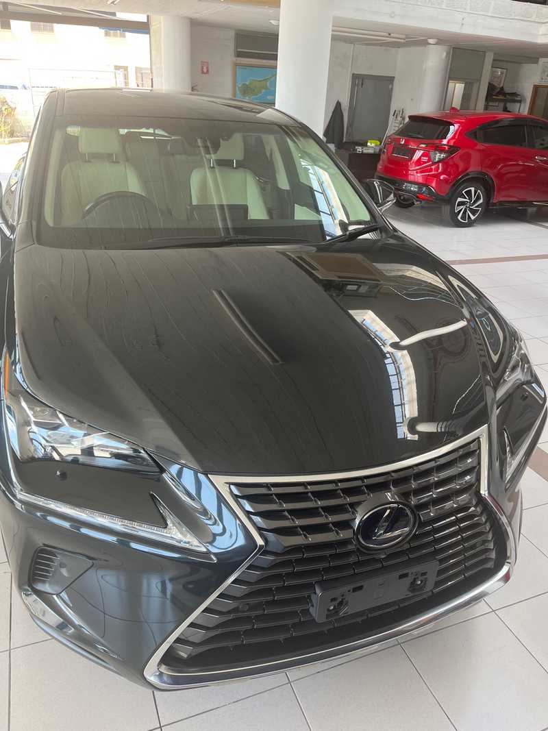 2019 Lexus NX 2,5L 2019 Cyprus