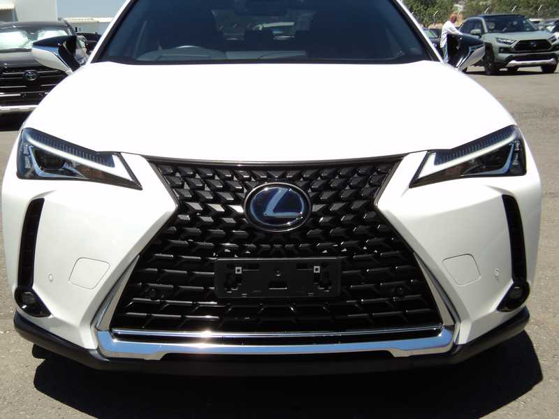 2022 Lexus UX 2,0L 2022 Cyprus