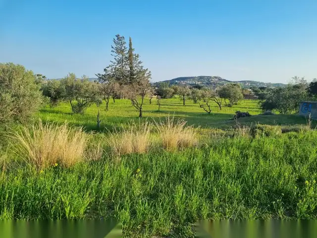 Residential Field 9040 m², Limassol — Parekklisia