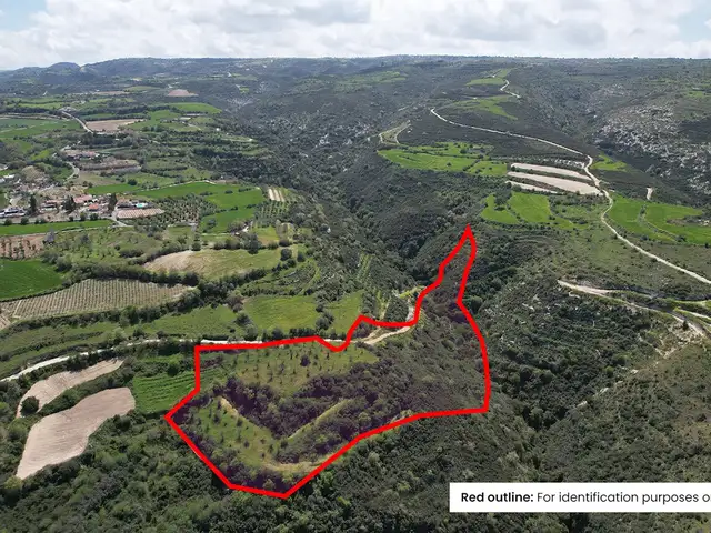 Agricultural Field 22743 m², Επαρχία Πάφου — Ακουρδάλεια Πάνω