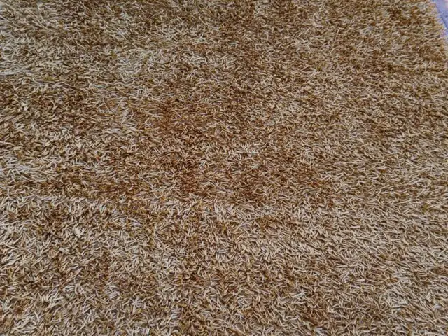 Carpets, Επαρχία Λεμεσού — Λεμεσός - Ζακάκι