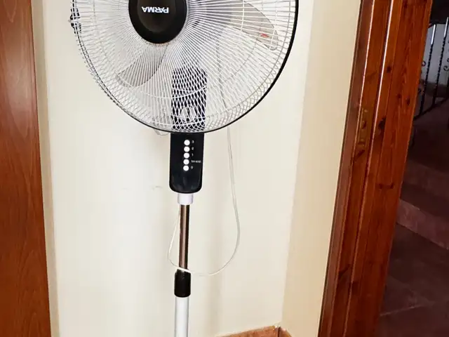 Fan, Larnaca — Larnaka - Kamares