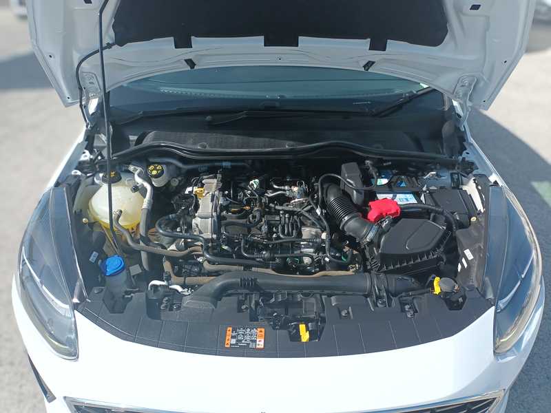2022 Ford Fiesta 1,0L 2022 Cyprus