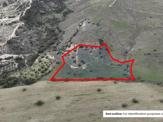 Residential Field 14047 m², Επαρχία Πάφου — Άγιος Δημητριανός