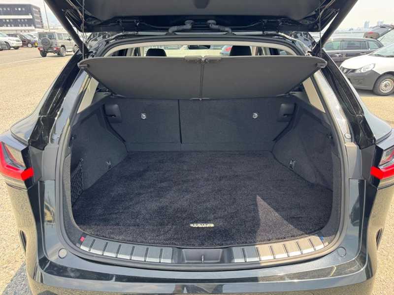 2025 Lexus NX 2,5L 2025 Cyprus