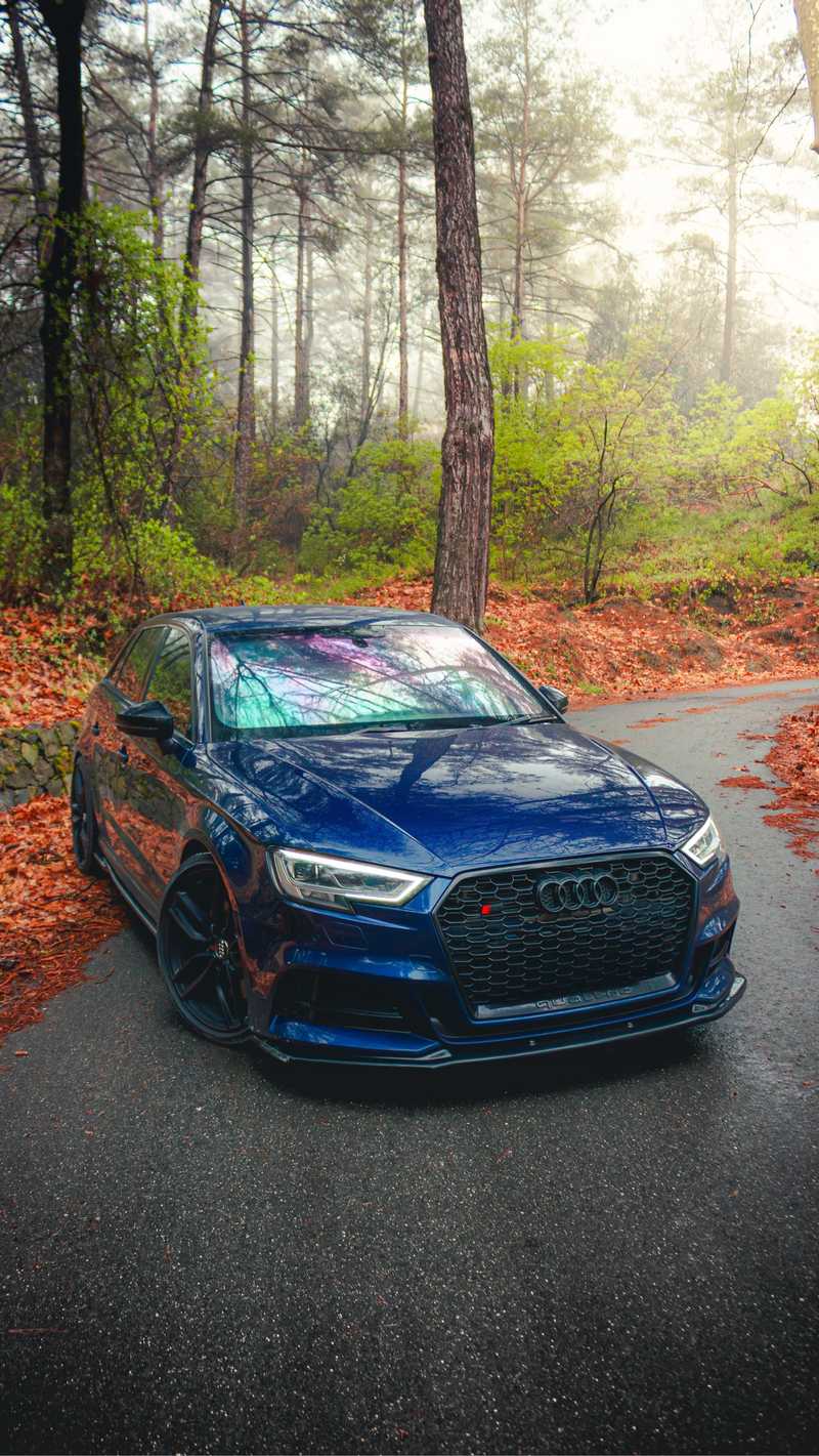 2017 Audi S3 2,0L 2017 Cyprus
