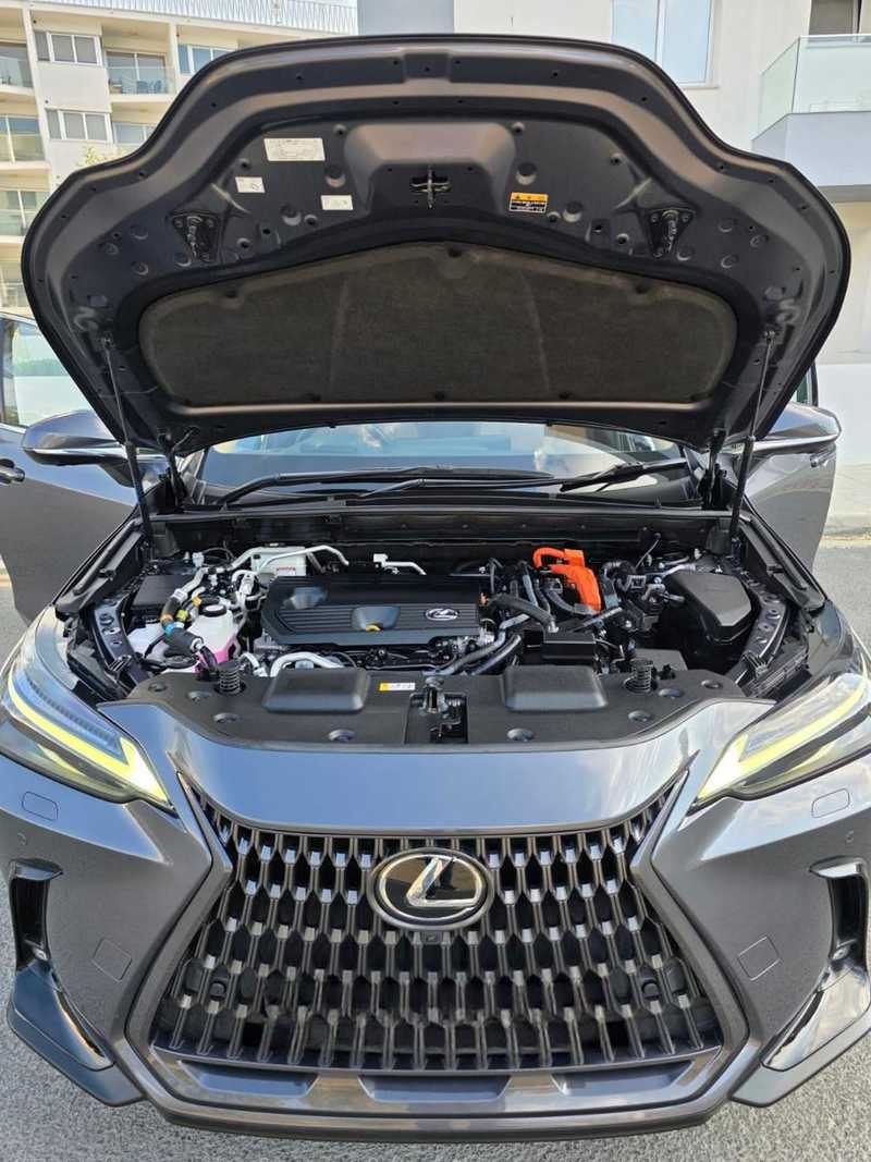 2022 Lexus NX 2,5L 2022 Cyprus