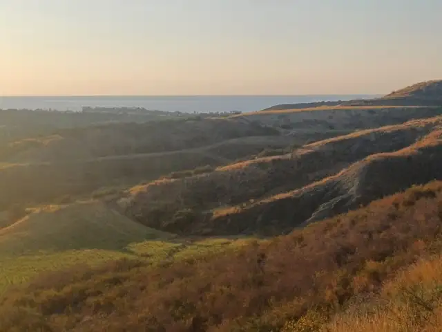 Agricultural Field 11037 m², Επαρχία Πάφου — Στενή