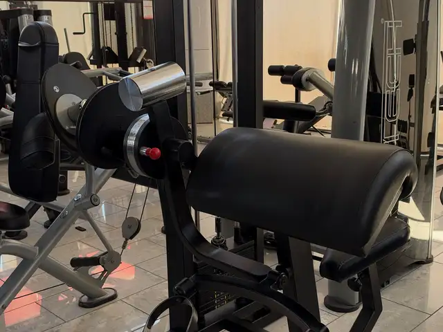 Biceps curl machine - panatta sport preacher curl, Επαρχία Πάφου — Paphos - Άγιος Θεόδωρος