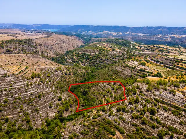 (Share) Agricultural Field 10368 m², Limassol — Agios Therapon