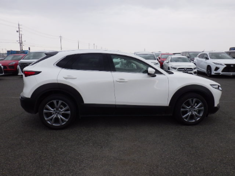 2023 Mazda CX-30 2,0L 2023 Cyprus