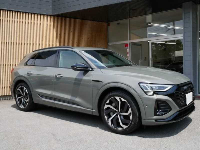Audi Q8 Electric 2024