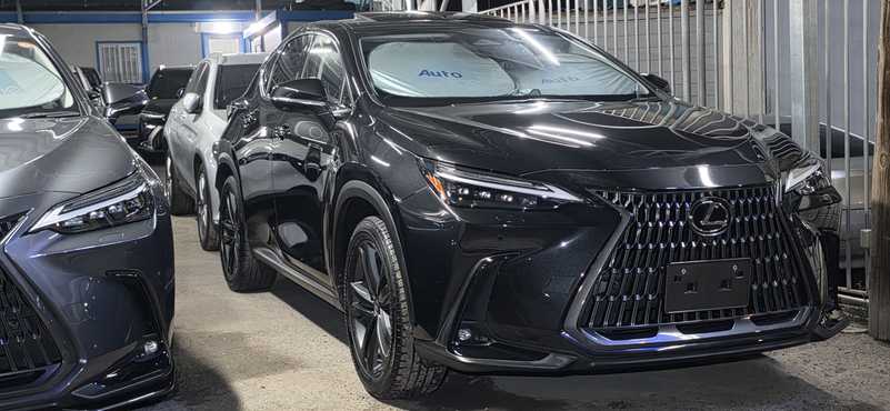 2023 Lexus NX 2,5L 2023 Cyprus