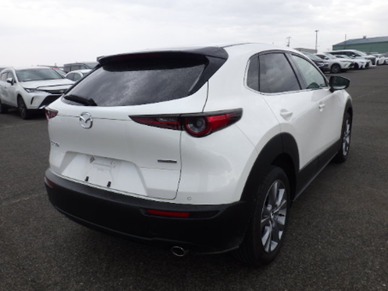 2023 Mazda CX-30 2,0L 2023 Cyprus