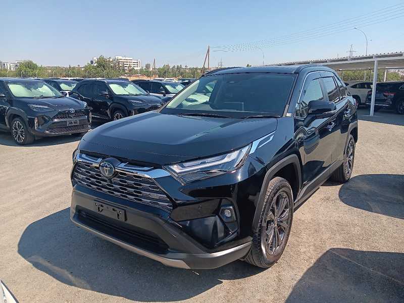 2025 Toyota RAV4 2,5L 2025 Cyprus