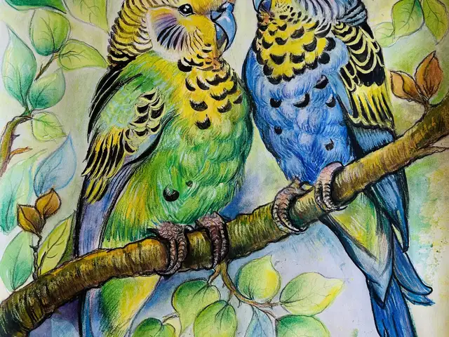 Papagayo 35 x 50 cm, Larnaca — Larnaka - Finikoudes