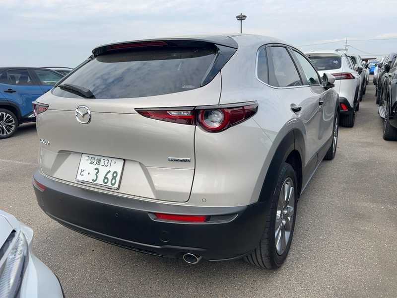 2025 Mazda CX-30 2,0L 2025 Cyprus