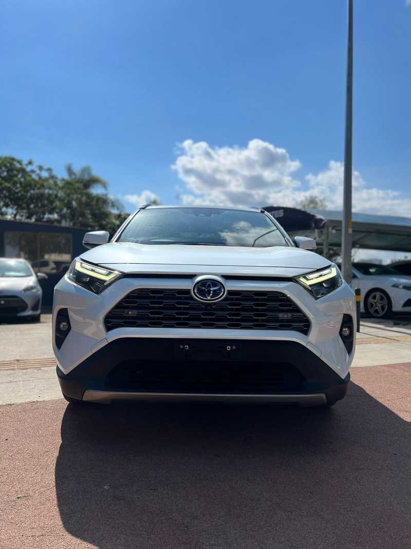 2024 Toyota RAV4 2,5L 2024 Cyprus