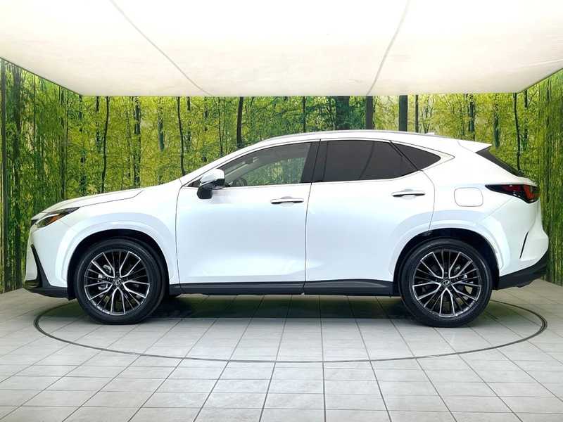 2025 Lexus NX 2,5L 2025 Cyprus