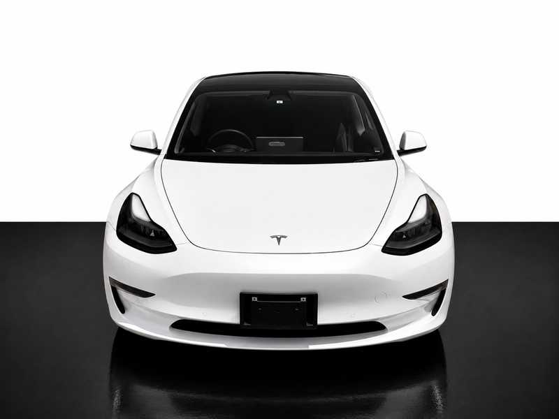Tesla Model 3 Electric 2021