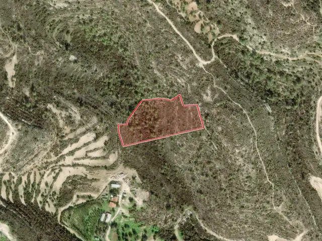 Agricultural Field 12375 m², Επαρχία Λεμεσού — Μαθηκολώνη