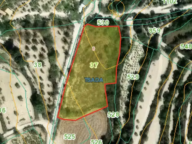Agricultural Field 4000 m², Επαρχία Πάφου — Τσάδα