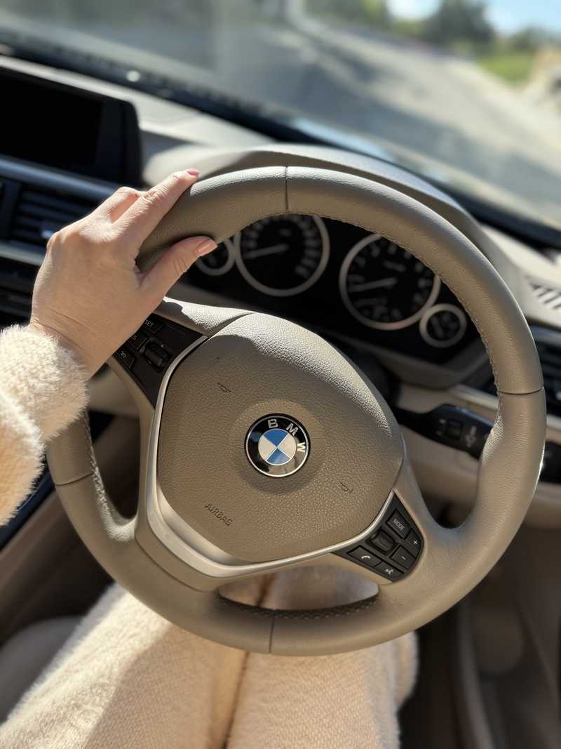 2014 BMW 3-Series 1,6L 2014 Cyprus