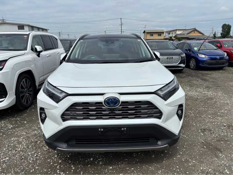 Toyota RAV4 2,5L 2024