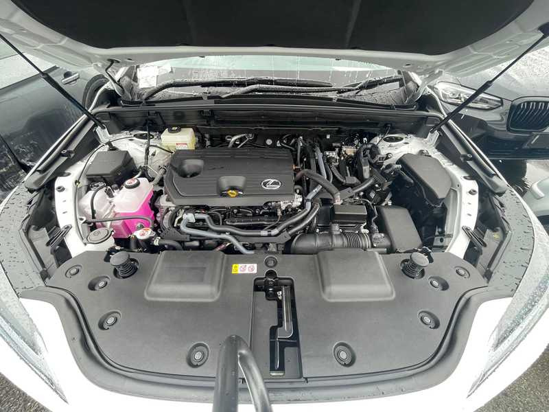 2026 Lexus NX 2,5L 2026 Cyprus