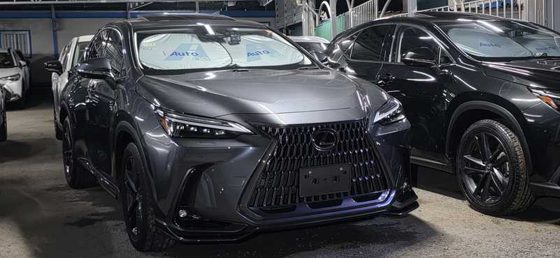 Lexus NX 2,5L 2023