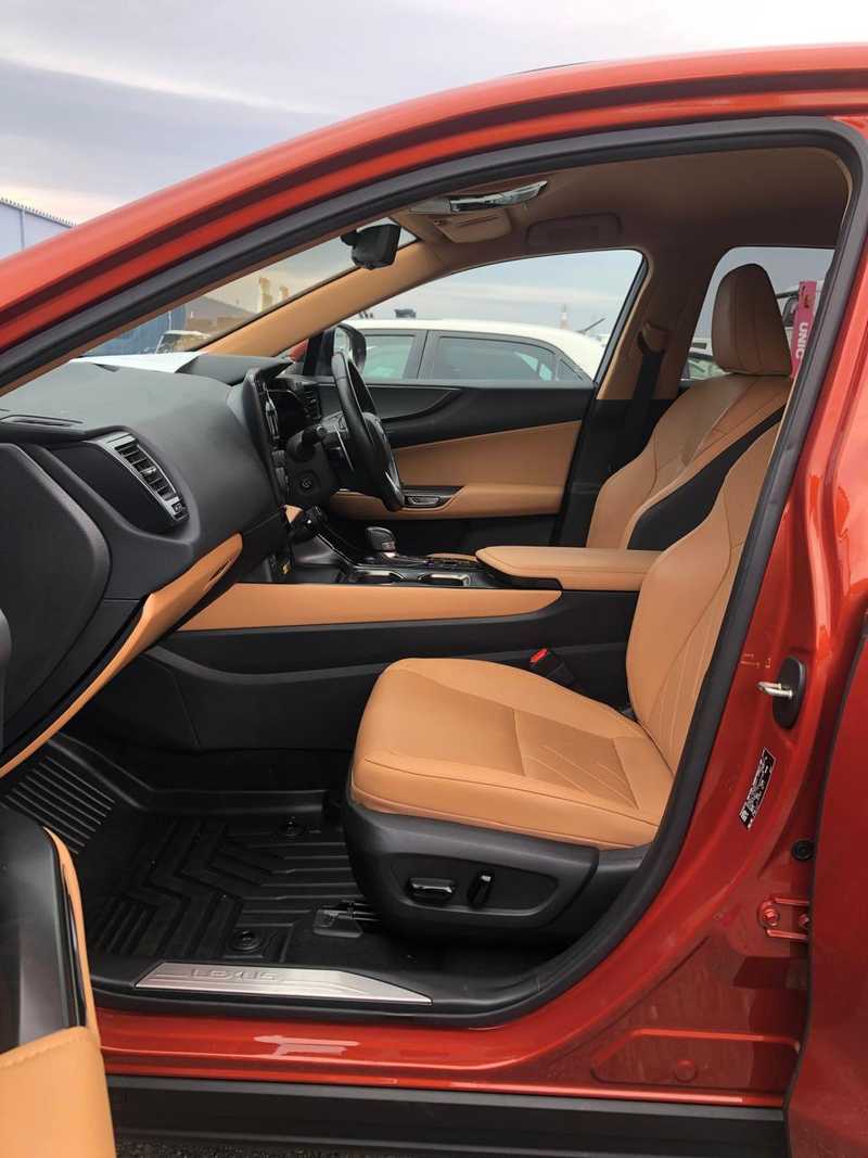 2023 Lexus NX 2,4L 2023 Cyprus