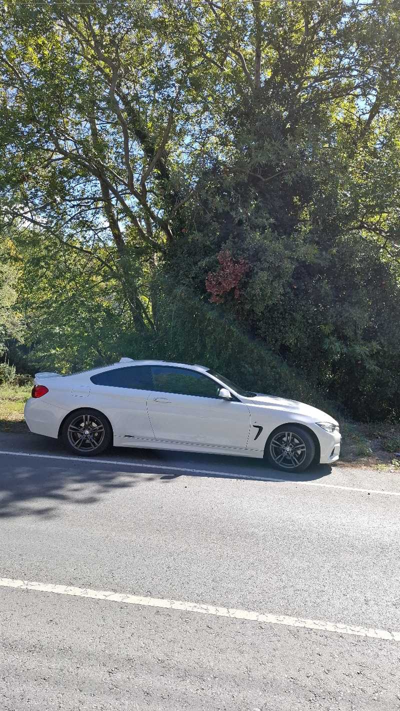 2015 BMW 4-Series 2,0L 2015 Cyprus