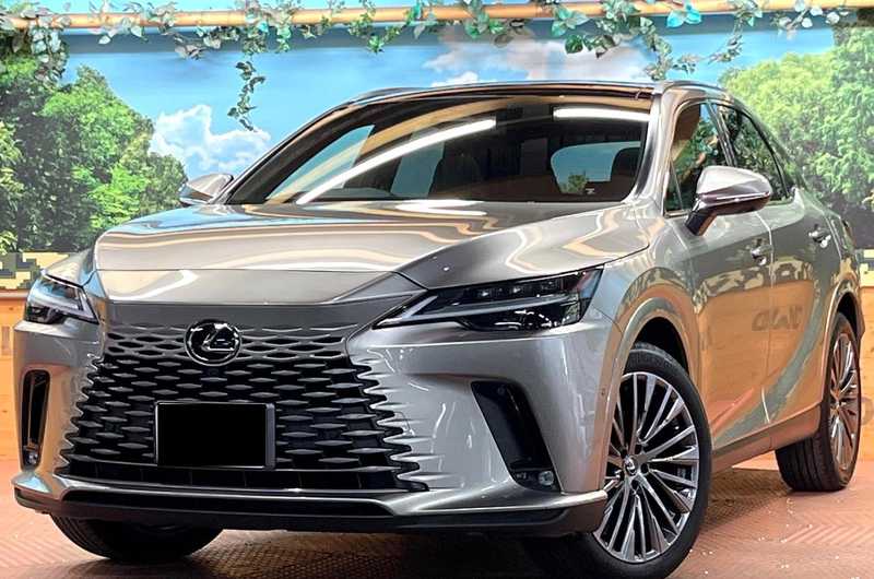 Lexus RX 2,5L 2025