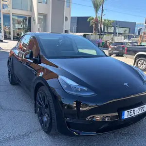 Tesla Model Y Performance