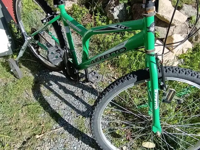 Green colour Italian bycicle, Limassol — Pyrgos Lemesou