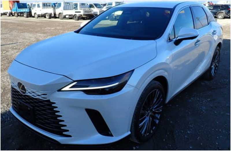 Lexus RX 2,5L 2025