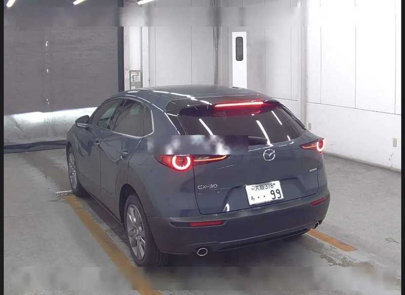 2024 Mazda CX-30 2,0L 2024 Cyprus