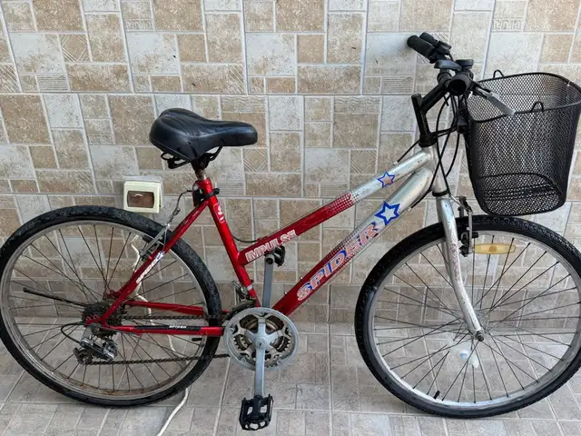 Bicycle spider, Επαρχία Αμμοχώστου — Αγία Θέκλα