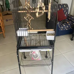 Cage, Επαρχία Λευκωσίας — Στρόβολος - Ακρόπολη